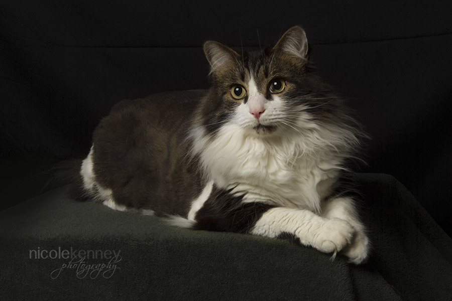 Rags_090315